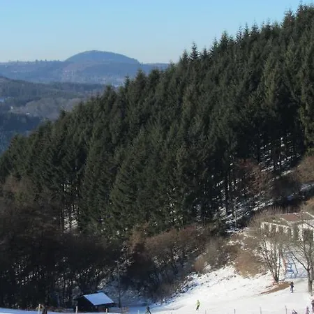 Apartment Ferienwohnung Apel Im Herzen Der Vulkaneifel Daun