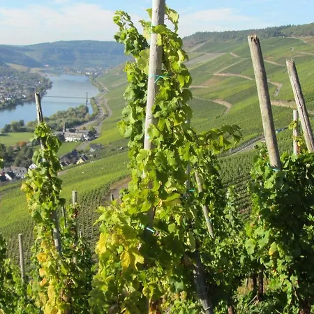 Ferienwohnung Apel Im Herzen Der Vulkaneifel * Daun
